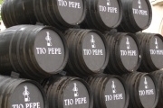 Intern in Jerez de la Frontera